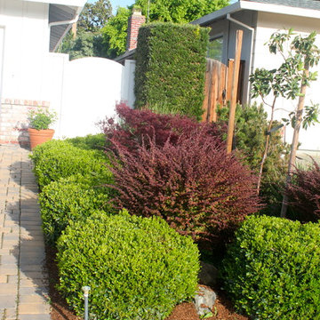 Our Work