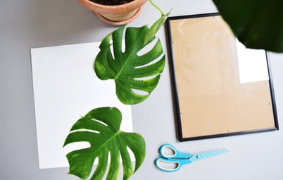 Quadro con Foglie di Monstera: Crea la Tua Decorazione Jungalow