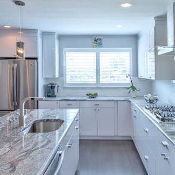 Contemporary White Kitchen