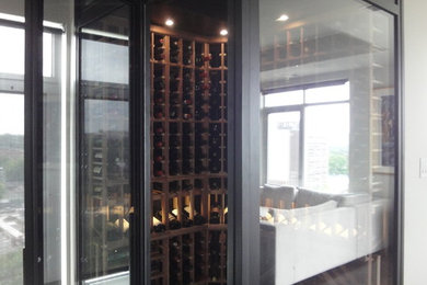 Wine cellar - mid-sized modern dark wood floor wine cellar idea in Ottawa
