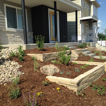 Front Yard Landscaping