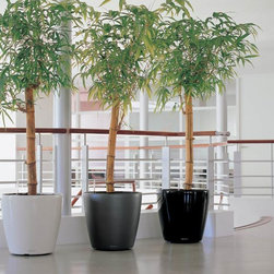 Modern Planter - Products