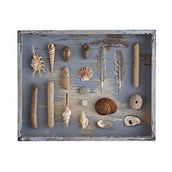 OCEAN CURIOSITIES SHADOWBOX - Artwork