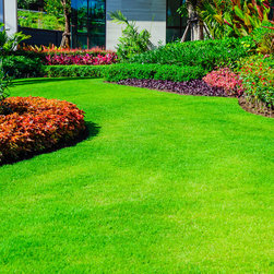 Lawn Care - Products