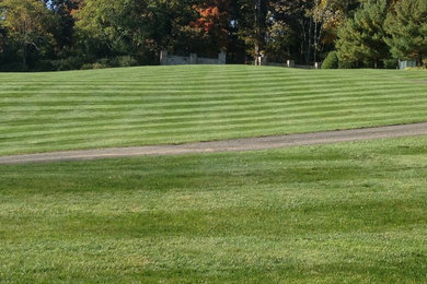 Inspiration for a traditional landscaping in New York.