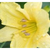 Denise Mays's photo