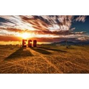 Radu Talpos's photo