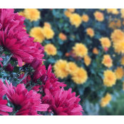 Emily Hein's photo