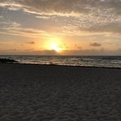 Michelle Coughlin Burns's photo