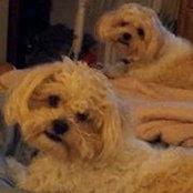 Amy Phillips-Allee's photo