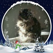 Katy Riley's photo