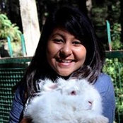 Disha Jivani's photo