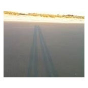 Jody Lawrence's photo