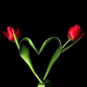 Tammy Gillon's photo