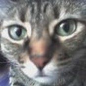 Erin Kane's photo