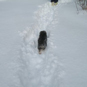 Foto von Tess Shore