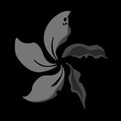 Chad Phillips's photo