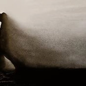 Mathieu Lassalle's photo
