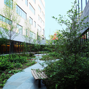 QUEENS NY - PUBLIC SCHOOL 315
