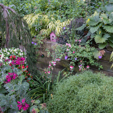 Small space- Big Impact Garden