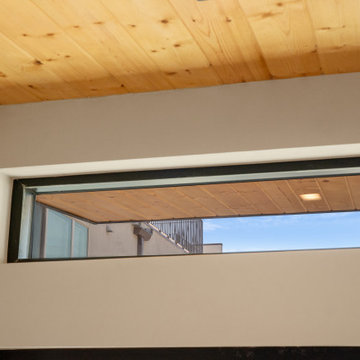 Modern ADU w/ Art Gallery & Rooftop Deck- NextGen Home Builders in Highland Park
