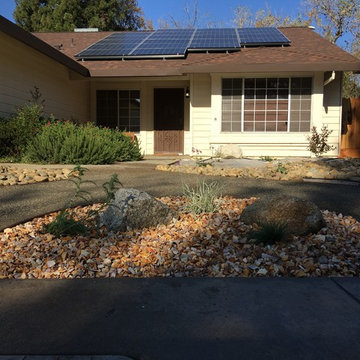 Drought Tolerant Landscapes