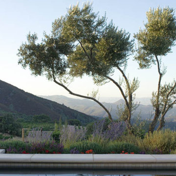 Photographer: Landscape Design