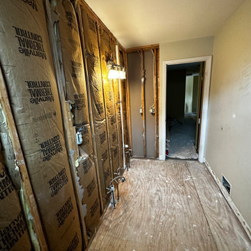 Upcoming Novi main bathroom