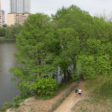 Austin