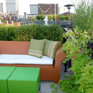 Back Bay, Rooftop/Kitchen Garden