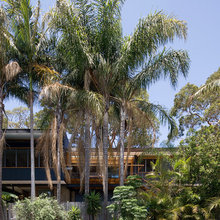 Modern Wood
