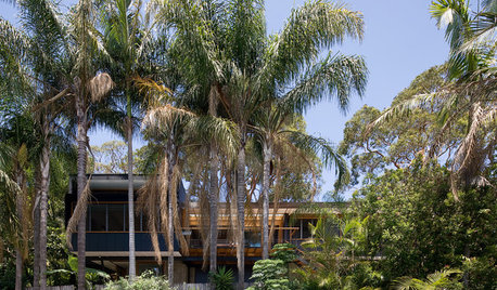 Houzz Tour: Living in the Treetops in Freshwater