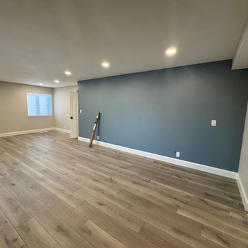 Home Remodel/ One Bath/paint/popcorn removal/LED Can lights/baseboards/Flooring
