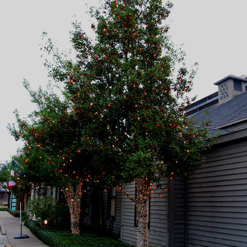 Miscellaneous Gardens and Pretty Things