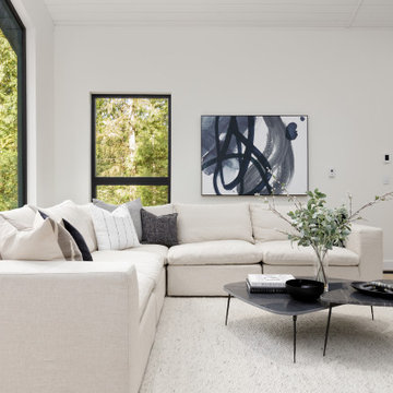 Living Room - Transitional