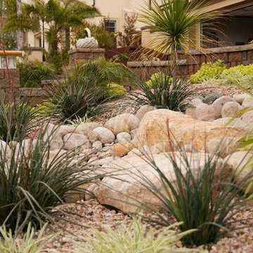 Xeriscape: Western Outdoor Designs