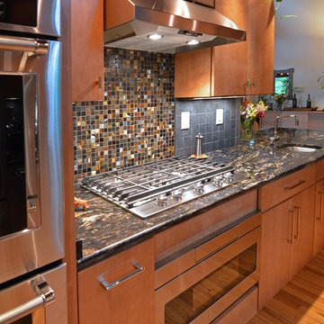 Contemporary Shoreline Remodel