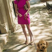 Katie Gagnon's photo