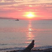 Karolyn Herrigstad's photo