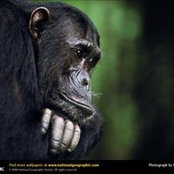 Channa Jayaweera's photo