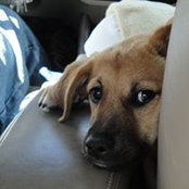 Tristan Solana's photo