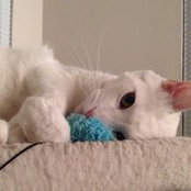 Deedee Larabee's photo