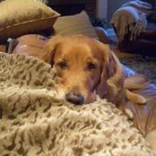 Suzanne Kinsey's photo