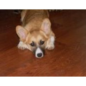 Deirdre Coneghan's photo