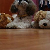 Wen Xin Wong's photo