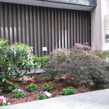 newyorkplantings: The Ultimate Garden Designer