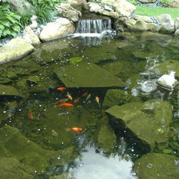 Waterfall-Fed Koi Pond (Long Island/NY): - Outdoor Fountains And Ponds
