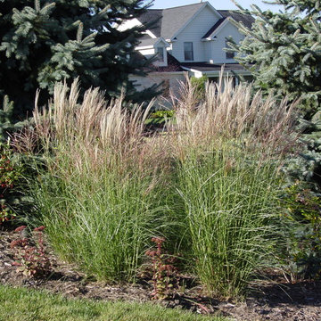 Geneva Landscape Gardens