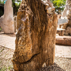 Petrified Wood Online Store - Outdoor Decor