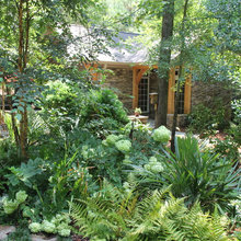 Landscaping Ideas